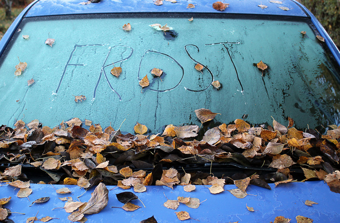 Fall Car Care