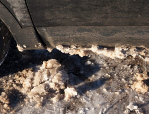 Road Salt damage
